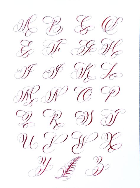 Best Cursive Fonts, Alphabet Font, Calligraphy Font, Handwritting Font, Fancy Font, Tatto Font, Modern Font, Wedding Font,etc. #font #cursivefont #calligraphyfont #alphabetfont #font2023 Flourishes Calligraphy Alphabet, 3d Calligraphy Alphabet Fonts, Different Calligraphy Styles, Spencerian Alphabet, Flourishing Calligraphy Alphabet, Letter T Calligraphy, Script Lettering Alphabet, Flourished Calligraphy Alphabet, Cursive Alphabet Calligraphy