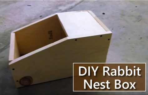 DIY Rabbit Nest Box - simple diy project made from one single plywood... #diy #rabbits #homesteading Rabbit Birthing Boxes, Nesting Boxes For Rabbits, Bunny Breeding, Rabbitry Setup, Raising Bunnies, Rabbit Nesting Box, Diy Nest, Rabbit Playground, Nesting Boxes Diy