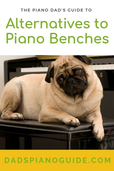 Piano Bench Alternatives - The Piano Dad Drum Throne, Best Piano, Piano Bench, How To Play Drums, Relieve Back Pain, Stools With Backs, Playing Piano, Poor Posture, Arm Rest