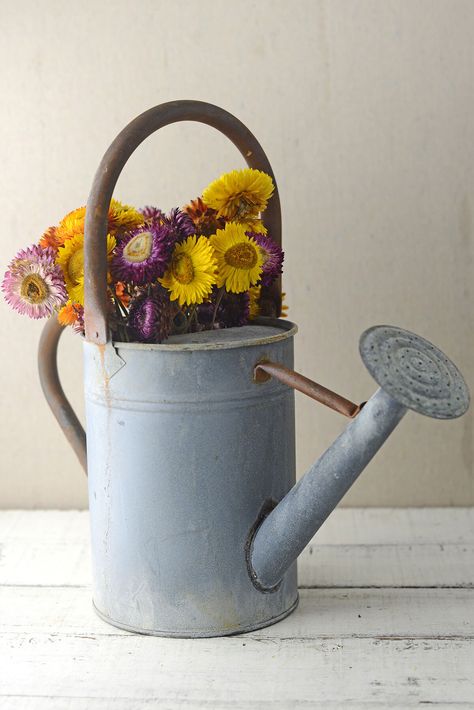 Rustic Zinc Watering Can With Large Handle Metal Vessel, Zen Rock Garden, Paper Lantern Lights, Metal Watering Can, Wood Planter Box, Party Barn, Watering Cans, Rustic Centerpieces, Branch Decor