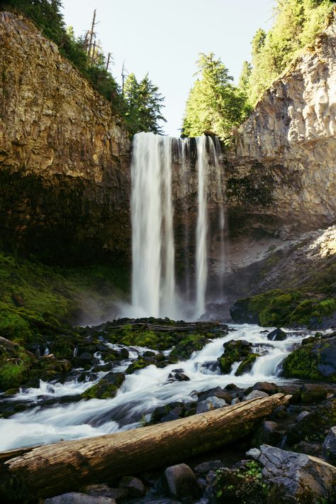 Photo Of Nature, Waterfall Wallpaper, Oregon Waterfalls, Creative Commons Images, Nature Wallpapers, Lone Tree, Jungle Wallpaper, Tree Images, Oregon Usa