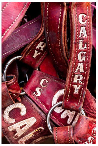 Calgary Stampede Calgary Stampede Aesthetic, Creative Mood Board, Canada Calgary, Western Love, Calgary Stampede, Store Inspiration, Rodeo Life, Denim Inspiration, Calgary Alberta