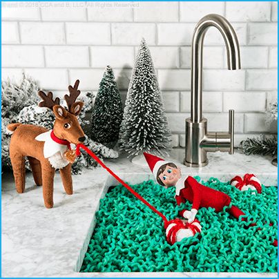 Cute Ideas for Scout Elves and Elf Pets® Reindeer | The Elf on the Shelf Elves Ideas, Reindeer Pet, Reindeer Cute, Elf Printables, Elf On The Shelf Arrival, Elf Pets, Awesome Elf On The Shelf Ideas, The Elf On The Shelf, Elf Activities