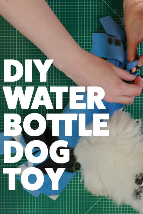 Got an old water bottle laying around? Put your crafting skills to use and turn it into a new toy for your dog! Homemade Dog Toys, Diy Water Bottle, Dog Puzzle Toys, Diy Dog Toys, Dog Puzzles, Diy Water, Dog Socks, Dog Projects, Dog People