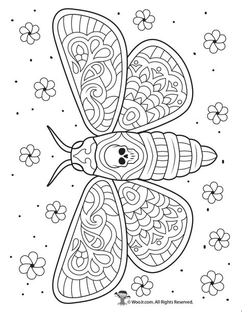 Day of the Dead Moth Intricate Coloring Page | Woo! Jr. Kids Activities Moth Coloring Page, October Worksheets, Coloring Butterflies, Gothic Coloring Pages, Doodle Coloring Pages, Coloring Posters, Skull Coloring Pages, Adult Colouring Printables, Abstract Coloring Pages