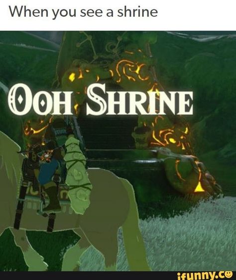 When you see a shrine – popular memes on the site iFunny.co #legendofzelda #gaming #tloz #thelegendofzelda #nintendo #nintendoswitch #link #botw #breathofthewild #when #shrine #pic Legend Of Zelda Memes, Botw Zelda, Zelda Funny, Zelda Breath Of The Wild, Video Game Memes, Link Zelda, Wind Waker, Zelda Art, Baguio