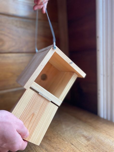 Outhouse Birdhouse, Wren Bird House, Bird House Garden, Build A Picnic Table, Birdhouse Plans, House Wren, Birdhouse Projects, Make A Bird Feeder, Wren House