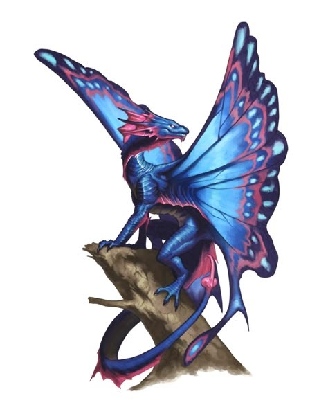 Fairy Dragon Dnd, Butterfly Dragon Art, Faerie Dragon Dnd, Fairy Dragon Art, Insect Dragon, Fae Dragon, Bug Dragon, Faerie Dragon, Dragon Butterfly