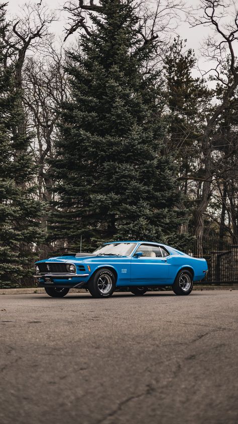 1969 Mustang Aesthetic, 1969 Mustang Boss 429, Mustang 1969 Wallpaper 4k, Ford Mustang 1969 Wallpaper, Bugatti Centodieci, Vespa Vintage Italy, Ford Mustang 1968, Mustang 1969, Ford Mustang 1969