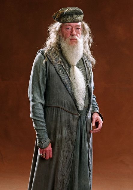 Dumbledore Outfit, Albus Dumbledore Costume, Dumbledore Costume, Harry Potter Goblet, Michael Gambon, Richard Harris, Harry Potter Cosplay, Harry Potter Icons, The Goblet Of Fire