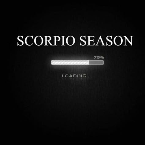 Scorpio Season Scorpio Season Aesthetic, Scorpio Season Quotes, Scorpio Season Is Here, Scorpio Season Is Coming, Scorpio Aesthetic, Scorpio Playlist, Funny Scorpio Quotes, Scorpio Zodiac Background, Scorpion Season Quotes