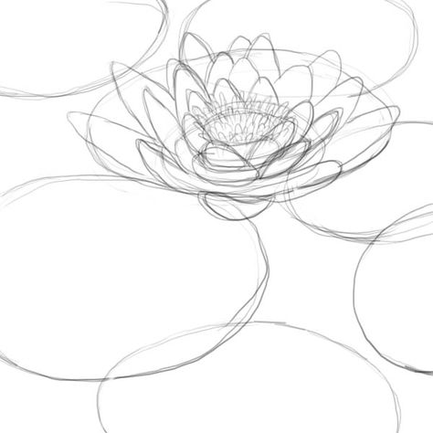 Lily Doodle, Lily Pad Drawing, Lilies Drawing, Flowers Mandala, Draw Flowers, Flower Drawings, Flowers Drawing, Monet Art, Drawing Flowers