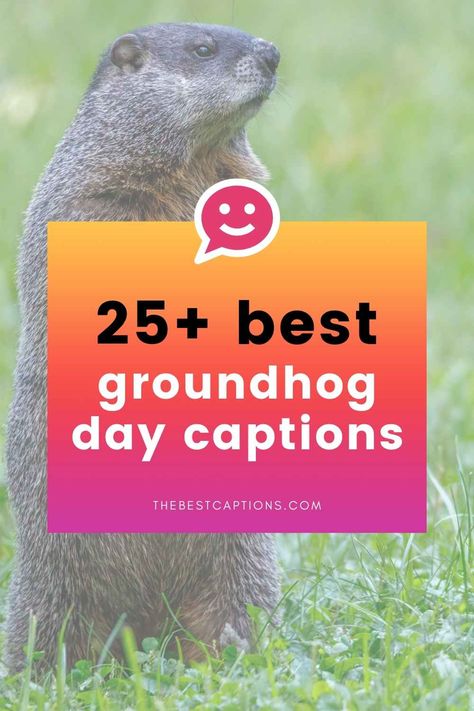 Punxsutawney Phil's big day is coming up, and we have the best #GroundhogDay captions and quotes to celebrate! Groundhog Day Quote, Groundhog Quotes, Groundhog Day Quotes, Ground Hogs Day, Day Captions, Ground Hog, Punxsutawney Phil, Interactive Posts, Birthday Captions