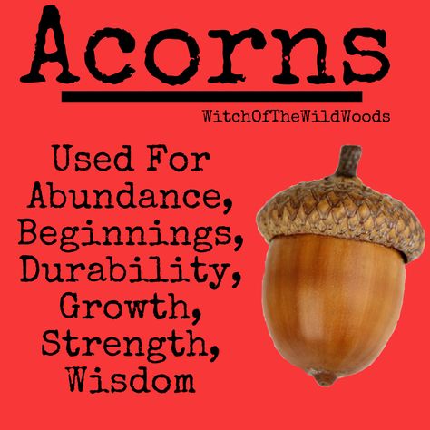 WitchOfTheWildWoods Acorn Magic, Bind Runes, Kitchen Witchcraft, Hearth Witch, Solitary Witch, Magical Food, Celtic Witch, Witches Garden, Flower Symbolism