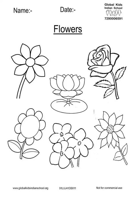 Plants Worksheets For Kids, Flowers Worksheets For Kids, Flower Worksheets Preschool, Flower Drawing For Kids, Evs Worksheet, Cursive Small Letters, Preschool Classroom Rules, Toddler Homeschool Activities, Worksheet For Nursery Class