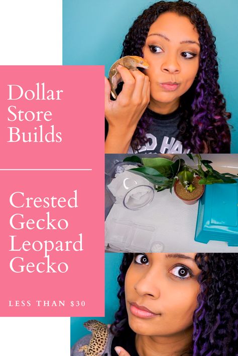 This video is all about making setups for leopard geckos and crested geckos as cheap as possible. We're talking dollar store, less than $30 setups. These are meant to be TEMPORARY housing or housing for tiny babies, as they are small setups. Please don't expect this to last your little critter forever. Click to see how cheap I could set up these temporary enclosures!  #leopardgecko #crestedgecko #dollarstoresetup #cheapsetup Leopard Gecko Enclosure Ideas Diy, Diy Crested Gecko Decor, Crested Gecko Setup, Diy Crested Gecko Enclosure, Diy Crested Gecko Hide, Diy Gecko Enclosure, Diy Leopard Gecko Enclosure, Crested Gecko Enclosure, Leopard Gecko Cage