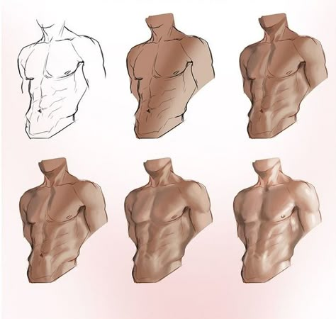 AnatoRef — Body and Torso Male Body Drawing, Human Anatomy Drawing, Human Anatomy Art, Body Reference Drawing, Body Anatomy, Anatomy Drawing, Digital Painting Tutorials, Figure Drawing Reference, Body Drawing