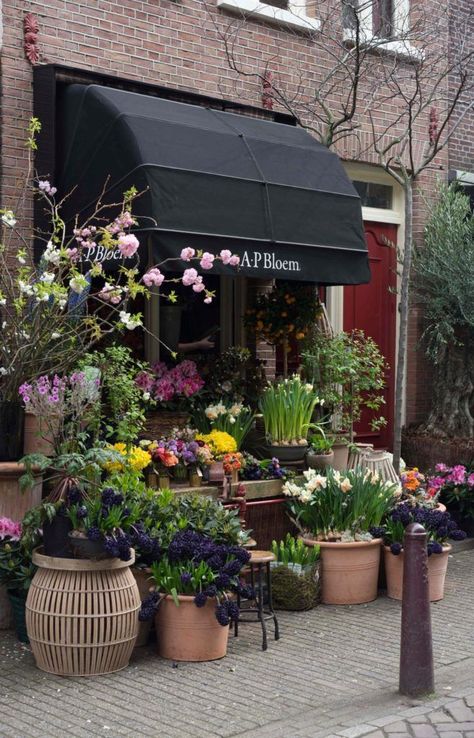 Amsterdam Shops, Flower Shop Display, Flower Shop Interiors, Dream Flower, Farm Cafe, Flower Shop Decor, Flower Shop Design, Honey Shop, Future Shop