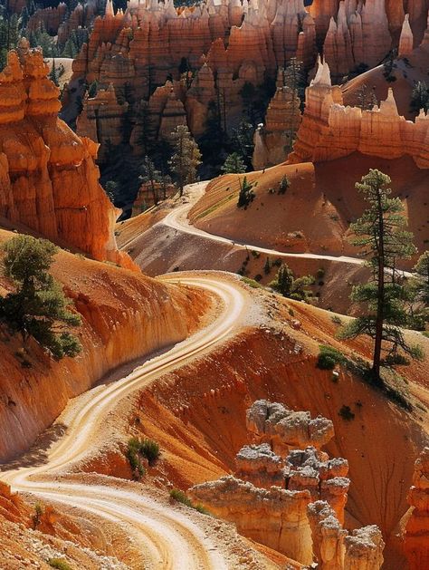 Bryce National Park, Bryce Canyon National Park, Utah National Parks, Bryce Canyon, Beautiful Scenery, Old Internet, Nevada, Mammals, Utah