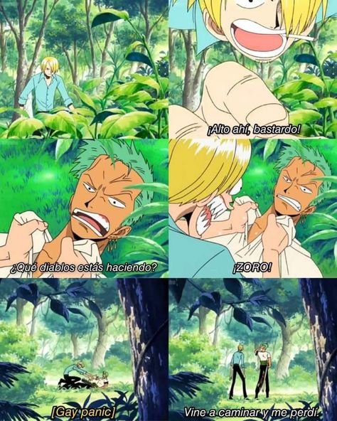 One Piece Gear 5, Zoro Sanji, رورونوا زورو, One Piece Photos, One Piece Ship, One Piece Funny, Fandom Funny, Better Call Saul, My Favorite Image