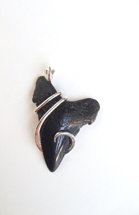 Shark Teeth Crafts, Shark Teeth Jewelry, Sharks Tooth, Tooth Jewelry, Sharks Teeth, Wire Pendants, Wire Wrap Jewelry Designs, Shark Tooth Necklace, Tooth Necklace