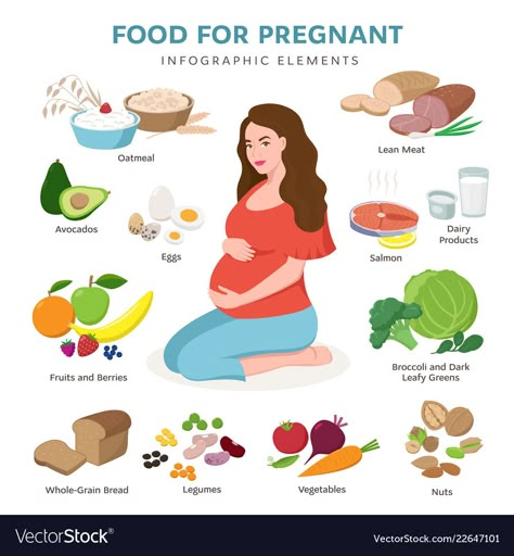 Pregnant Women Diet Plan, Good Food For Pregnant Women, Healthy Food For Pregnant Women, Foods For Pregnant Women, Pregnancy Food List, Pregnancy Diet Chart, Pregnancy Chart, Food During Pregnancy, Food For Pregnant Women