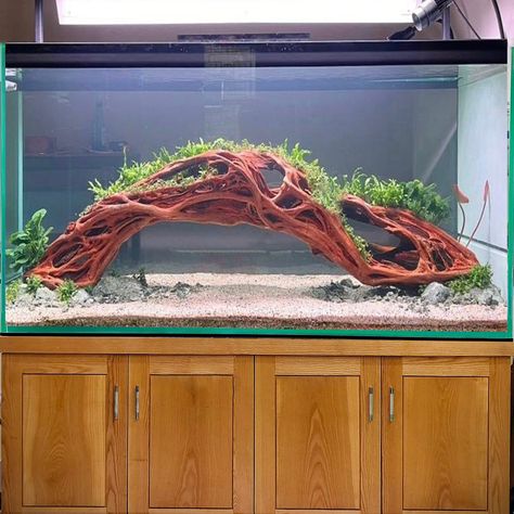 Tree Aquascape, Aquarium Bonsai, Bonsai Making, Driftwood Tree, Aquatic Pets, Aquarium Driftwood, Crooked Tree, Wood Stumps, Branch Tree