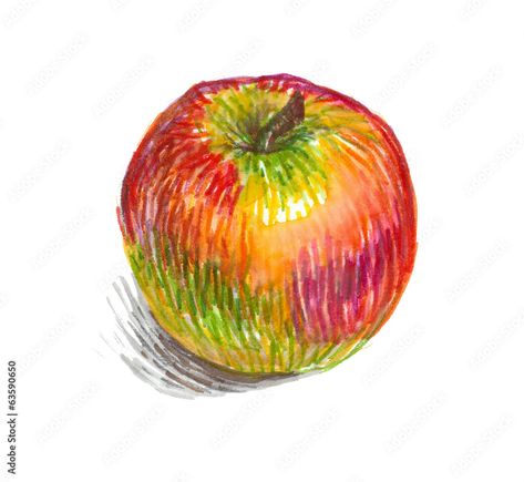 Drawing Apple, Multi Color Pen, Pen And Wash, Pen Art Drawings, Colored Pencil Drawing, Felt Tip, Middle School Art, Doodle Art Designs, Pastel Art