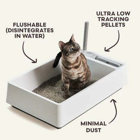 Automatic Litter Box, Cleaning Litter Box, Cat Beds, Great Cat, Cat Parenting, Modern Cat, Cat Carrier, Cat People, Garbage Bag