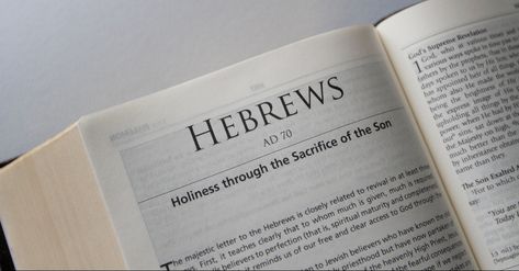 The letter to the Hebrews is a beautiful message of encouragement that rings true for us today. By understanding the difficulties and persecution the Hebrews faced, we understand the sermon as a call to courage when we are discouraged. Old Testament Names, Ancient Letters, Scriptures For Kids, Bible Project, Book Of Hebrews, Verses For Kids, New Testament Books, Bible Dictionary, Bible Commentary