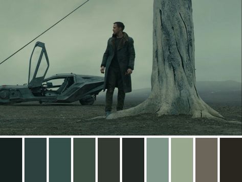 Films Color Palette, Movie Palette Color, Cinematic Colour Palette, Dystopian Color Palette, Cinematic Pallet, Cinematography Color Palette, Military Color Palette, Movie Color Grading, Cinema Color Palette