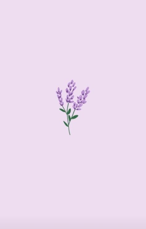 Wallpaper Wa, Instagram Profile Picture Ideas, Beauty Pictures, Cute Profile Pictures, Embroidery Ideas, Background Pictures, Lavender Flowers, Purple Aesthetic, Ipad Wallpaper