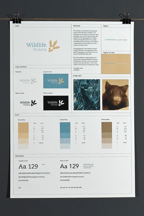 Branding Sheet, Logo Guidelines, Dna Project, Brand Guidelines Design, Place Branding, Style Guide Template, Photography Guidelines, Brand Identity Guidelines, Branding Kits