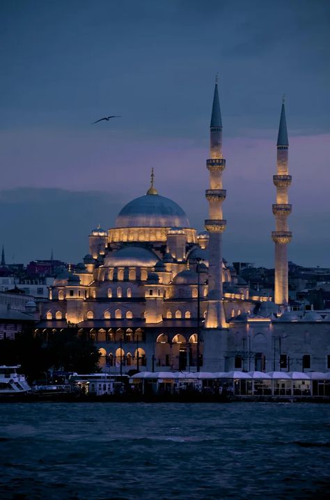 Blue Mosque Turkey, Blue Mosque Istanbul, Istanbul Photography, Golden Horn, Blue Mosque, Lovely Flowers Wallpaper, Turkey Travel, Architectural Inspiration, Istanbul Turkey