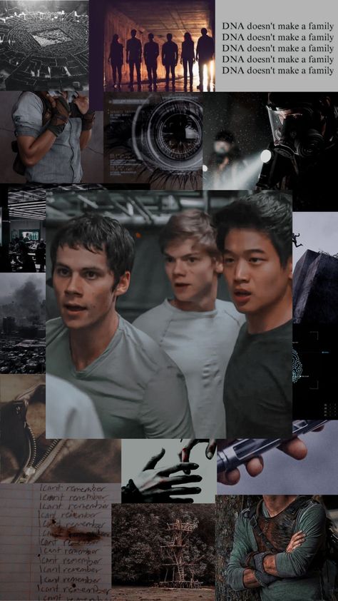 The Ivy Trio Wallpaper, Ivy Trio Wallpaper, Maze Runner, Ivy, Phone Wallpaper, Movie Posters, Fictional Characters