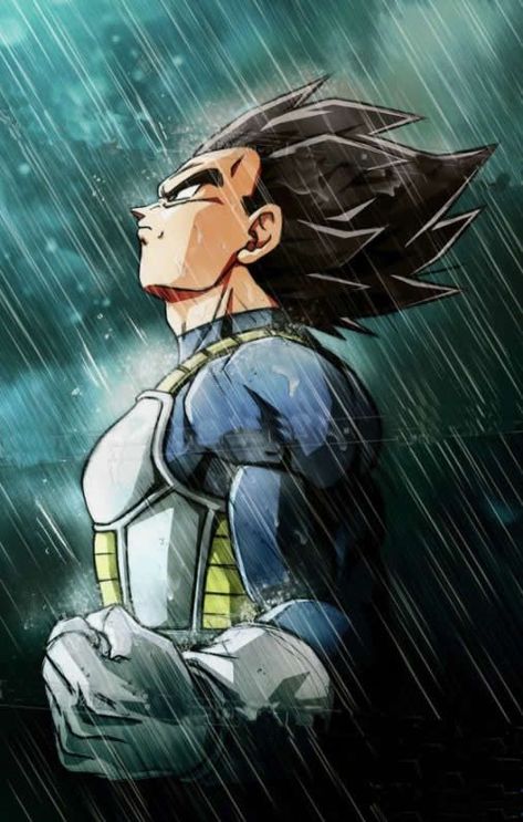 Vegeta Artwork, Vegeta Fanart, Dragonball Fanart, Dragon Ball Wallpaper Iphone, Ball Drawing, Dragon Ball Painting, Dragon Ball Super Wallpapers, Dragon Ball Art Goku, Dragon Ball Super Art