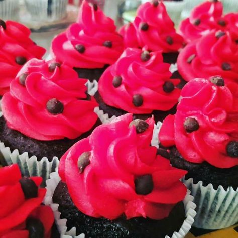 Ladybug Cupcakes Ideas, Ladybug Food, Ladybug Cake Pops, Ladybug Birthday Theme, Birthday Ladybug, Ladybug Cupcakes, Dessert Decor, Ladybug Cake, Ladybug Birthday