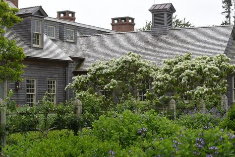 Arne Maynard, New England Colonial, Ranch Exterior, Landscape Designer, Patio Plants, Front Lawn, Stone Cottage, Back Patio, Perfectly Imperfect