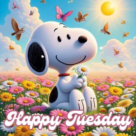 Happy Tuesday Snoopy, Tuesday Snoopy, Cute Picture Quotes, Happy Tuesday Quotes, Tuesday Quotes, Snoopy Wallpaper, Happy Days, Happy Tuesday, Picture Quotes