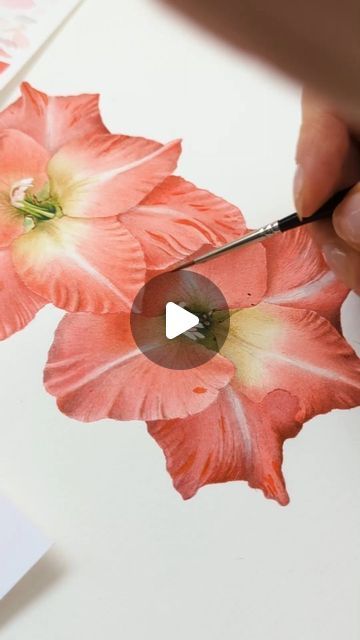 Watercolor Painting Artist and Teacher 🌿🖌️ on Instagram: "Tiny progress on this Gladioli. This painting will be this month's print for my Patron subscribers of an "Art collectors" tier. You still have time to subscribe till the end of the month if you would like to receive one. Tutorial is also available. You can find the link in my bio or simply comment FLOWER and I will send you the link.  . . . . . #watercolorpainting #watercolourpainting #watercolorart #watercolor #watercolour #painting  #art #botanicalwatercolor #botanicalartist #botanical #botanicalart #botanicalillustration  #illustration  #botanicalpainting #artist #artwork #realism #artistoninstagram #watercolorpainting #watercolor.illustrations #youtuber #watercolor_guide #patreon #Gladiolitutorial #gladiolipainting #gladioli # Watercolor Guide, Gladioli, Painting Artist, Botanical Painting, Botanical Watercolor, Watercolor Illustrations, Till The End, Artist Artwork, Artist Painting