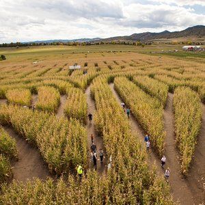 Halloween Corn Maze, Corn Maze Aesthetic, Fall Corn Maze Aesthetic, Corn Maze Pictures, American Corn, Pumpkin Patch Party, Outdoor Entryway, Corn Maze, Farm Design