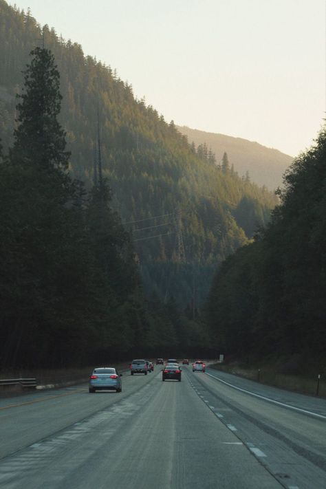 Road Trip Aesthetic Mountains, Forest Drive Aesthetic, West America Aesthetic, Nature Adventure Aesthetic, Midwest College Aesthetic, Seattle Living Aesthetic, Adventure Asethic, Road-trip Aesthetic, Stick Season Wallpaper