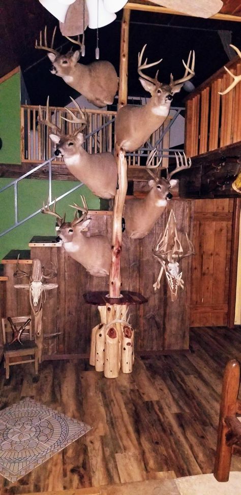 A new way to hang your deer heads Deer Heads, Deer Mounts, Hunting Room, Hunting Decor, Barn Style House Plans, Barn Style House, Deer Head, Barn Style, Taxidermy