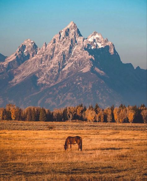 Yellowstone Aesthetic Wallpaper, Mountain Cowgirl Aesthetic, Rocky Mountains Aesthetic, Yellowstone Aesthetic, Wyoming Aesthetic, American Mountains, Yellowstone Photography, Respect Wildlife, Mountains Wyoming