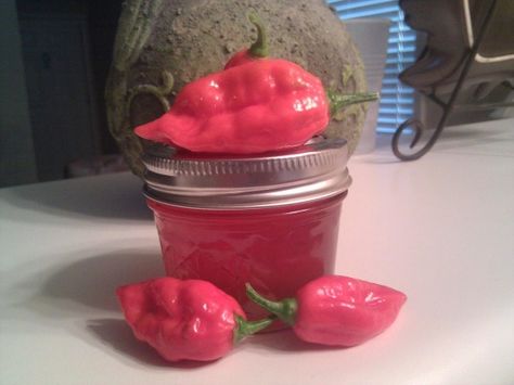 Scorpion Pepper Recipes, Ghost Pepper Jelly Recipe, Ghost Pepper Jelly, Pepper Jellies, Pepper Jelly Recipe, Ghost Chili, Hot Pepper Recipes, Preserving Vegetables, Hot Pepper Jelly