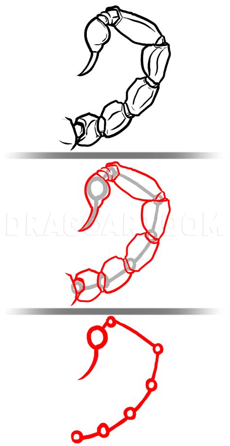 How To Draw Scorpions, Step by Step, Drawing Guide, by MichaelY | dragoart.com Scorpion Drawing Reference, Scorpion Tail Drawing Reference, Scorpion Oc Art, How To Draw Scorpion, Scorpio Sketch Drawings, Scorpion Anatomy Drawing, Simple Scorpion Drawing, Scorpion Tail Drawing, Cute Scorpion Drawing