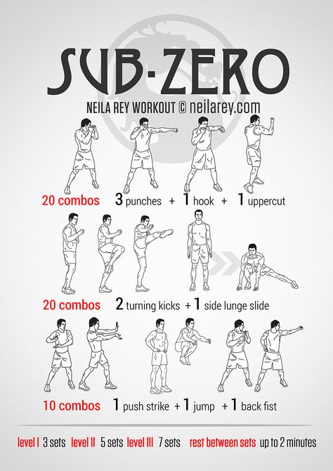 Sub-Zero Workout Villain Workout, Assassins Workout, Commando Training, Neila Rey Workout, Neila Rey, Hero Workouts, Fighter Workout, Boxing Training Workout, Superhero Workout