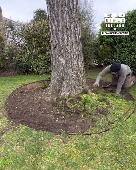 Creating a tree ring | garden, tree | Adding a ring around the base of a tree just makes a garden look so much tidier 🌳 | By LADbible Ireland | Facebook Landscaping Around Trees With Rocks, Food Growing, Landscaping Around Trees, Ring Tree, Tree Ring, Tree Rings, Tree Roots, Metal Tree, Oak Tree