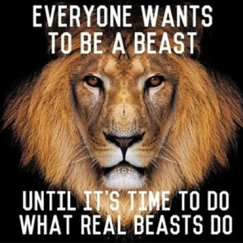 [Image] Everybody wants it... Beast Mode Quotes, Lion Quotes, Warrior Quotes, Gym Humor, Badass Quotes, A Beast, A Lion, Beast Mode, Workout Motivation