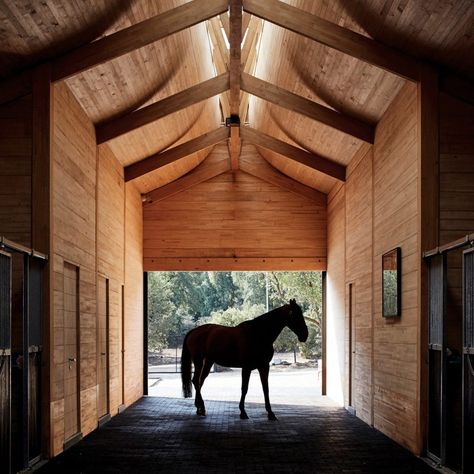 Spanish Horse, Spanish Hacienda, High Design, Equestrian Life, Horse Barns, University Of Miami, Penguin Random House, Animal Books, Random House